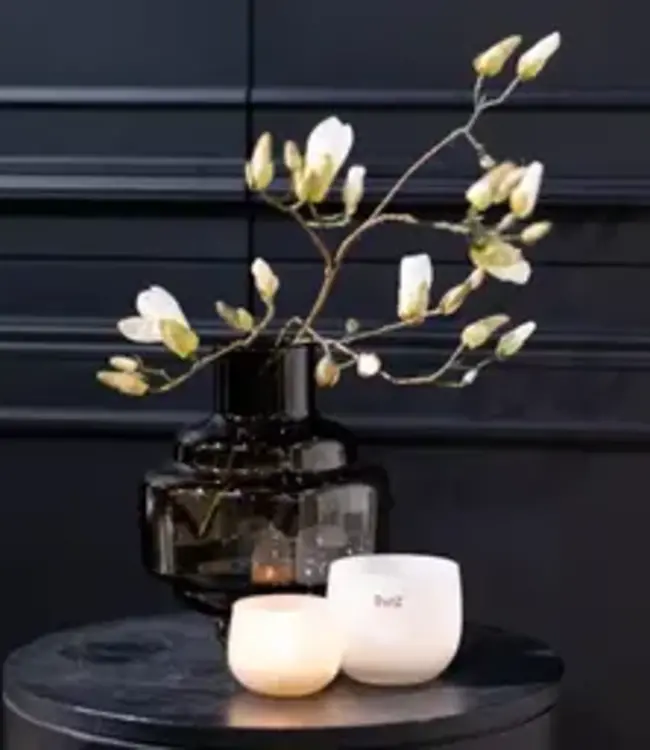 DutZ Vaas Urtii | Rookbruin | 2 Maten