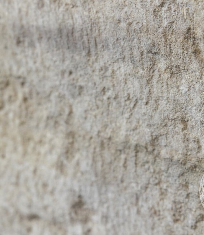 Be-Uniq Unieke Oude Wasbak | India | H24 x B40 x D35 cm