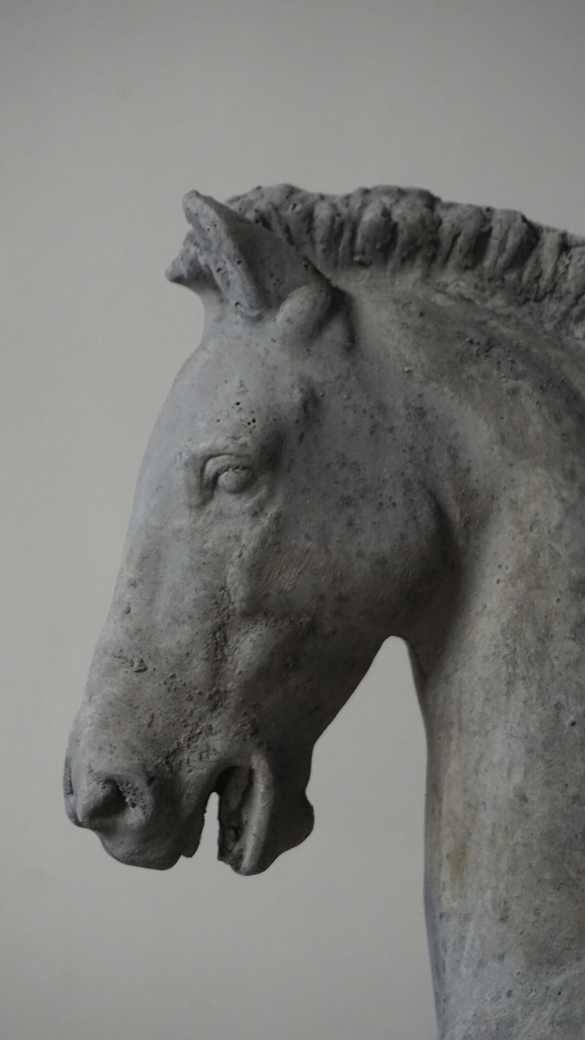 Il Cupido Paard Beeld Op Voet | Beton | H65xB52xD23 cm