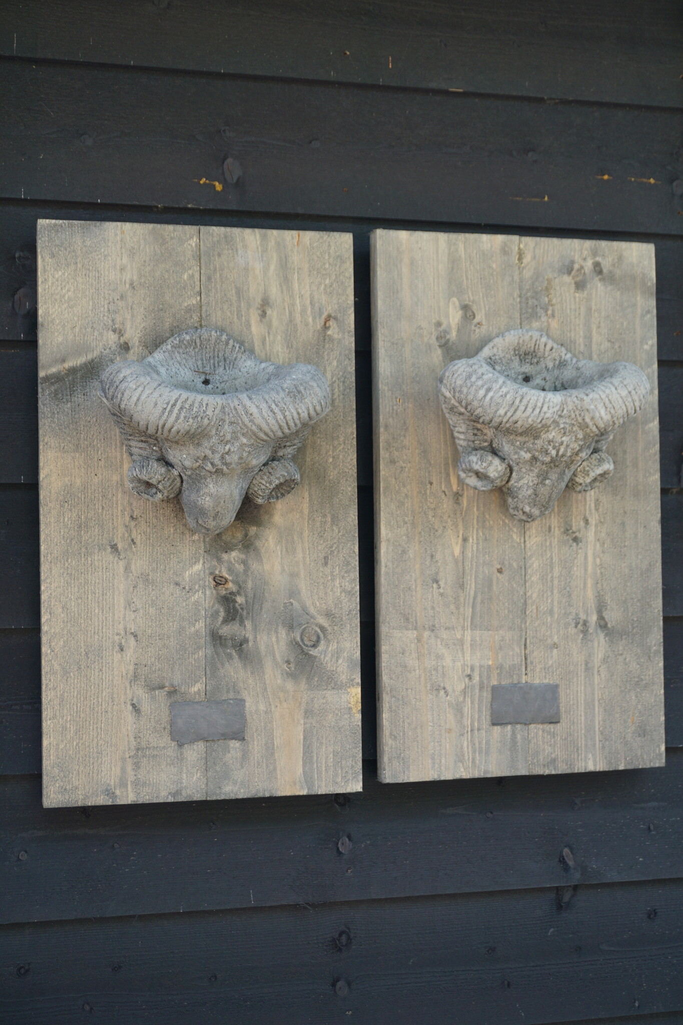 Il Cupido Houtenlijst Ramskop | H70 x B39 x D3,5 cm