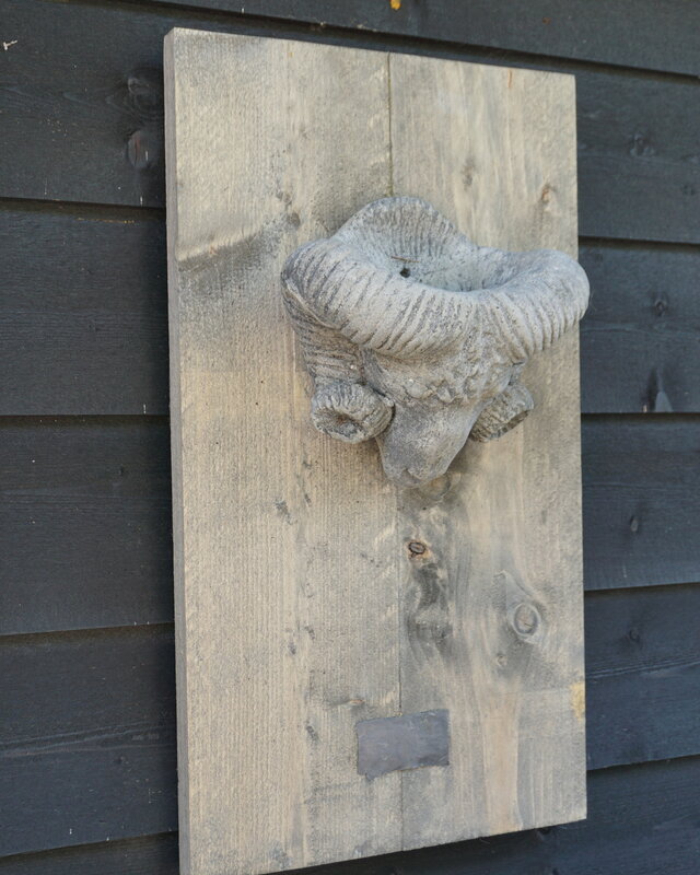 Il Cupido Houtenlijst Ramskop | H70 x B39 x D3,5 cm