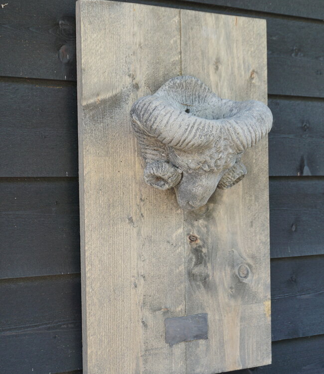 Il Cupido Houtenlijst Ramskop | H70 x B39 x D3,5 cm