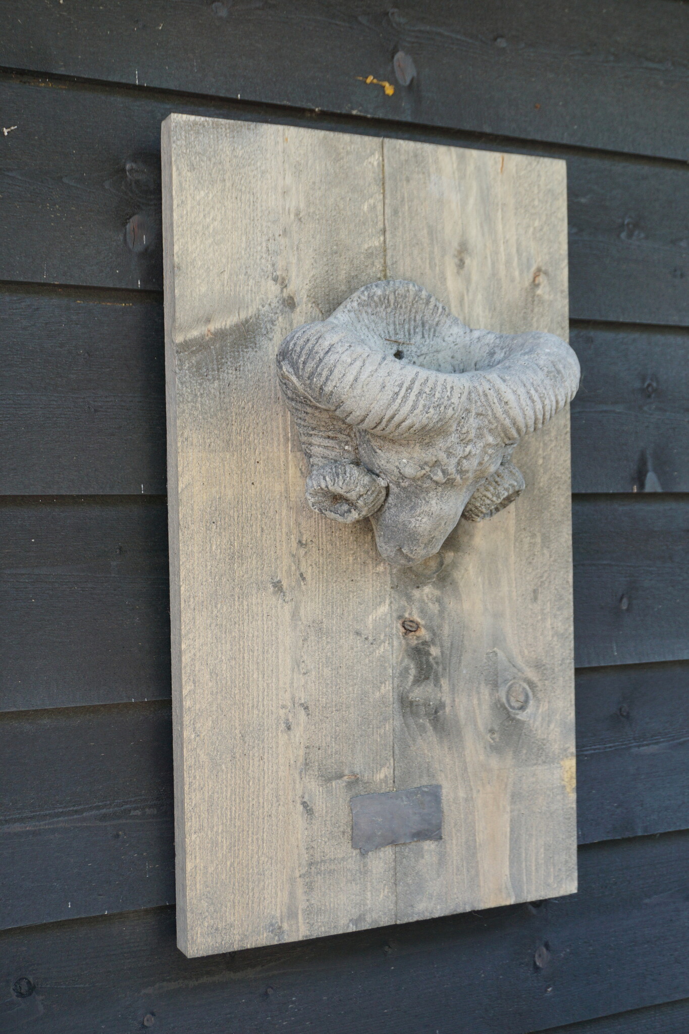 Il Cupido Houtenlijst Ramskop | H70 x B39 x D3,5 cm