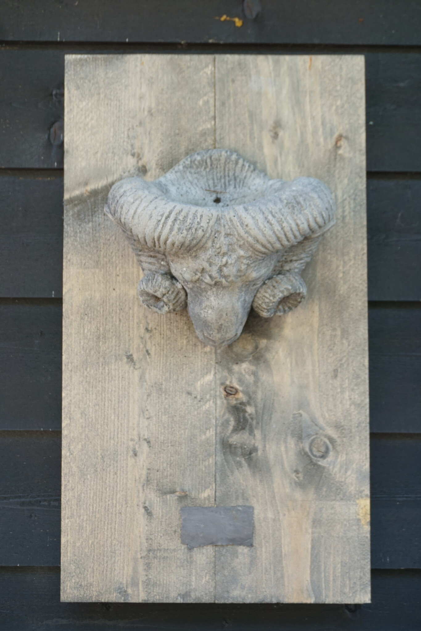 Il Cupido Houtenlijst Ramskop | H70 x B39 x D3,5 cm