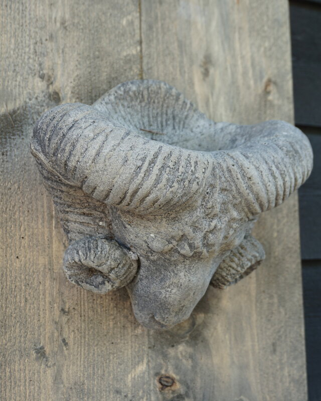 Il Cupido Houtenlijst Ramskop | H70 x B39 x D3,5 cm