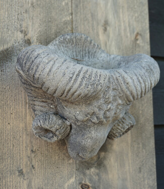 Il Cupido Houtenlijst Ramskop | H70 x B39 x D3,5 cm