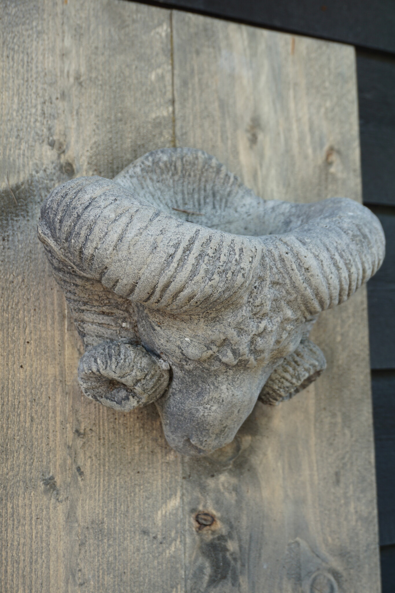 Il Cupido Houtenlijst Ramskop | H70 x B39 x D3,5 cm