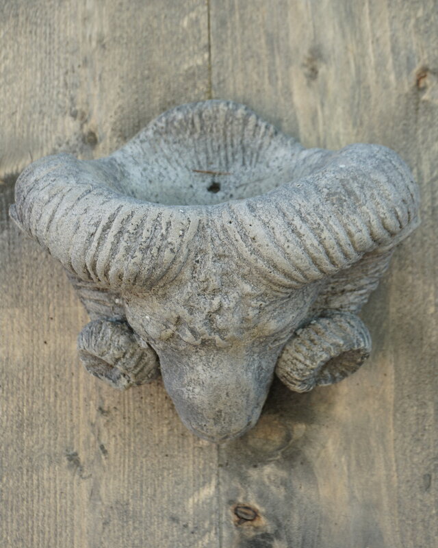Il Cupido Houtenlijst Ramskop | H70 x B39 x D3,5 cm