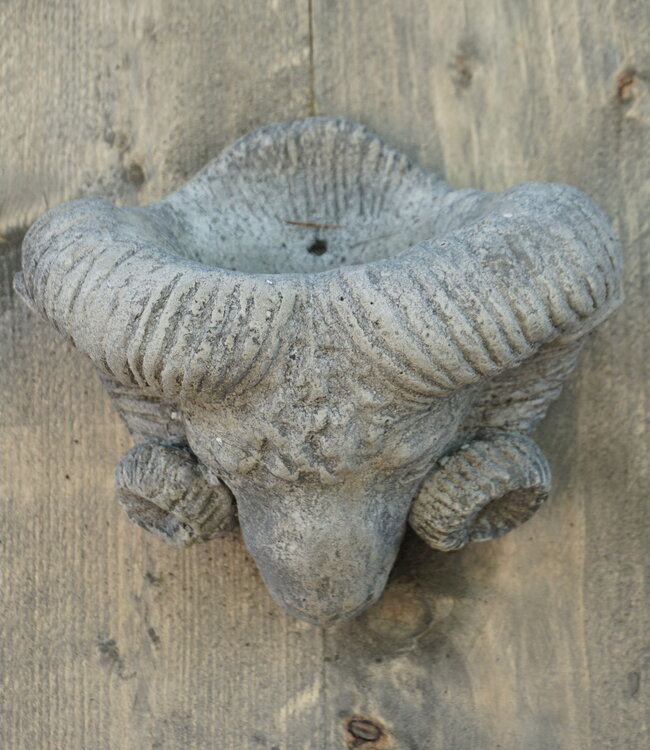 Il Cupido Houtenlijst Ramskop | H70 x B39 x D3,5 cm