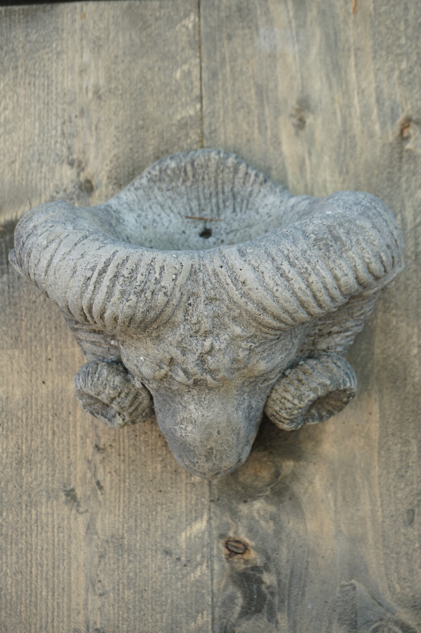 Il Cupido Houtenlijst Ramskop | H70 x B39 x D3,5 cm