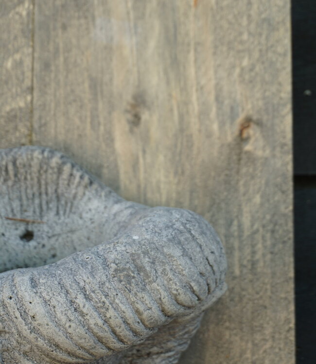 Il Cupido Houtenlijst Ramskop | H70 x B39 x D3,5 cm