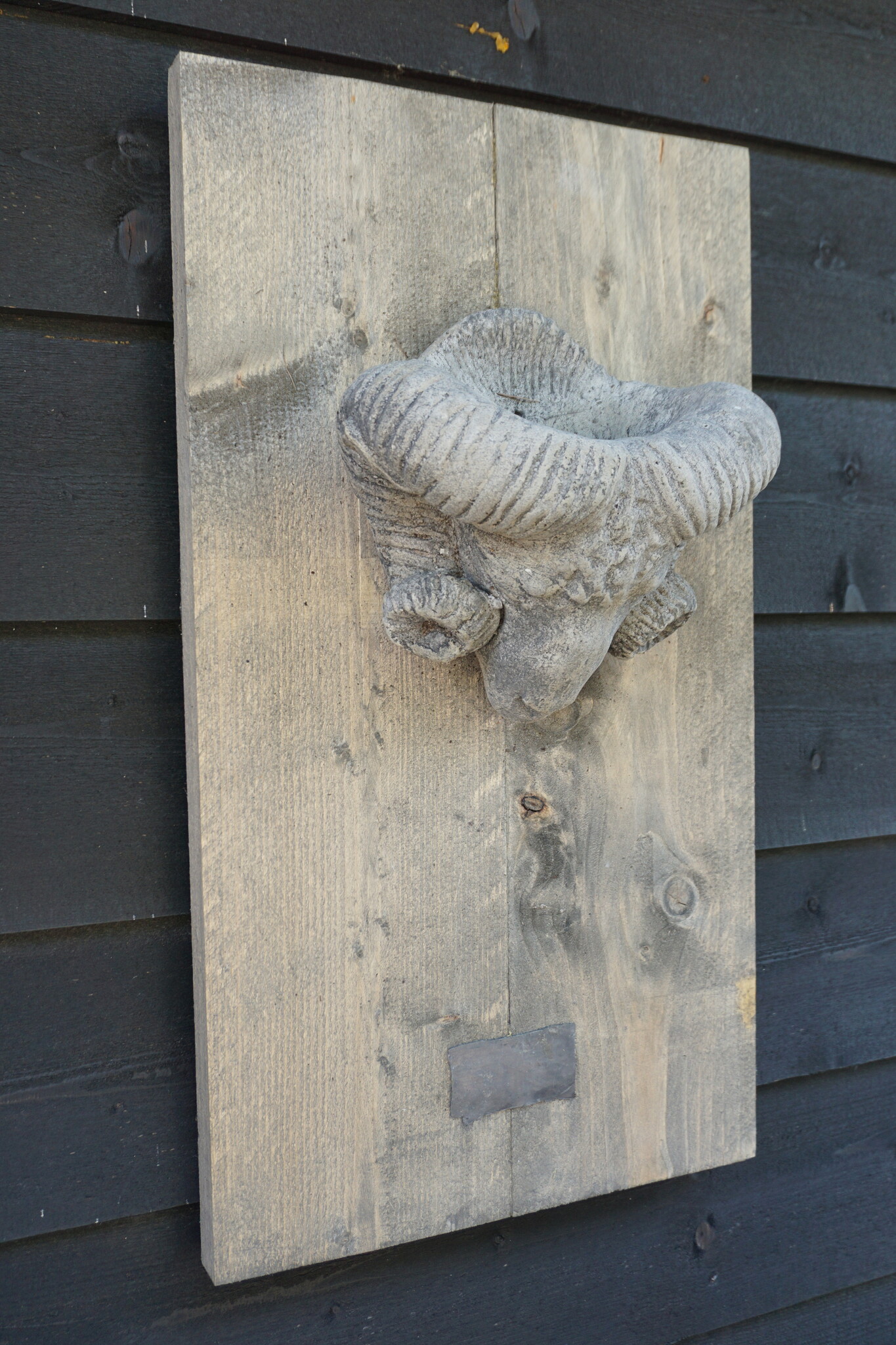 Il Cupido Houtenlijst Ramskop | H70 x B39 x D3,5 cm