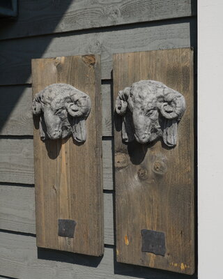Il Cupido Houtenlijst Ramskop | H50 x B19,5 x D3,5 cm