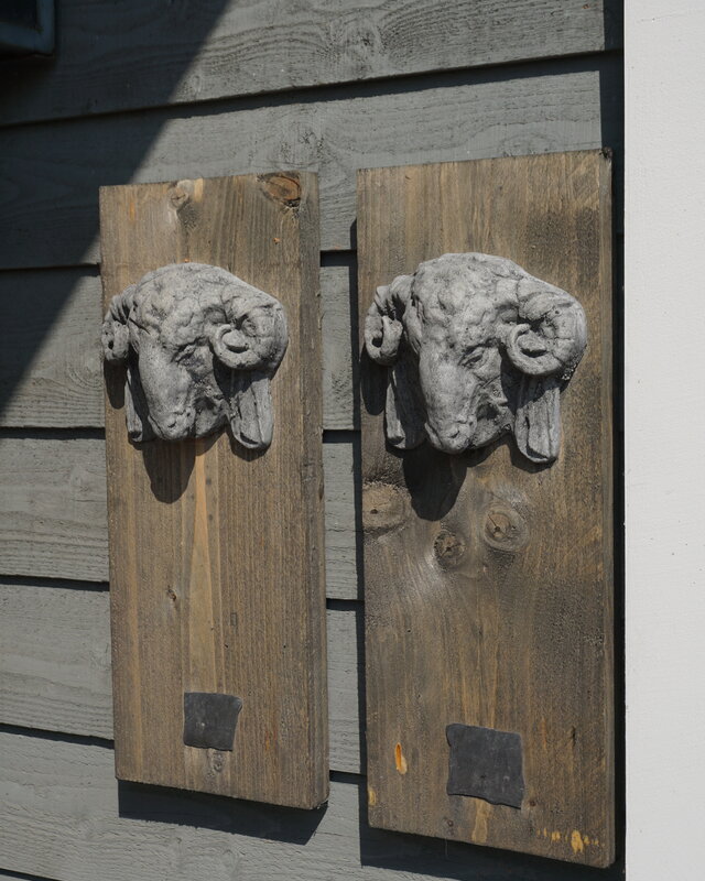 Il Cupido Houtenlijst Ramskop | H50 x B19,5 x D3,5 cm