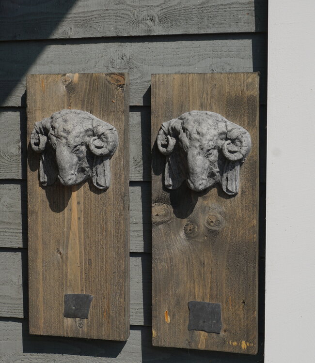 Il Cupido Houtenlijst Ramskop | H50 x B19,5 x D3,5 cm