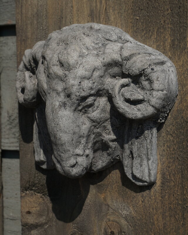Il Cupido Houtenlijst Ramskop | H50 x B19,5 x D3,5 cm