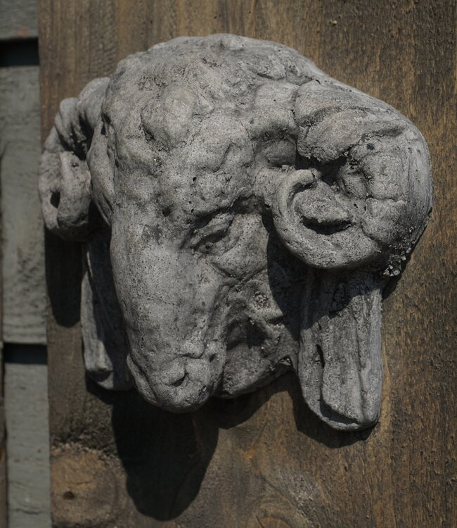 Il Cupido Houtenlijst Ramskop | H50 x B19,5 x D3,5 cm