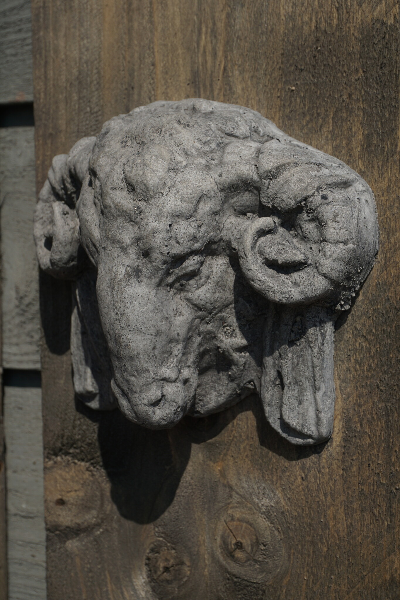 Il Cupido Houtenlijst Ramskop | H50 x B19,5 x D3,5 cm