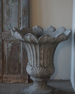 Il Cupido Bloembak Tulp | Beton | H70 x D60 cm