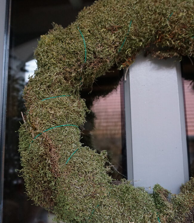 Rene Houtman Moskrans | Groen | 43 cm