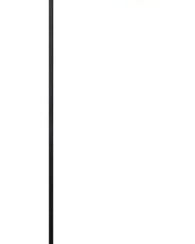 Frezoli Herzo Vloerlamp | Mat Zwart | H158 cm