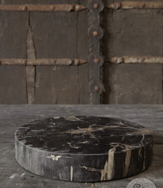 Be-Uniq Schijf | Versteend Hout | Indonesië | H5 x D30 cm