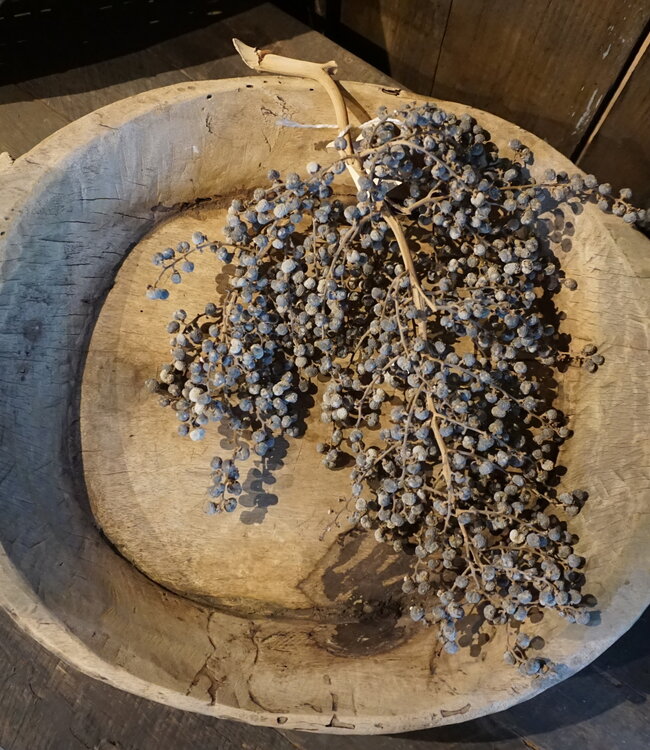 Rene Houtman Houten Chapati Schaal | H8 x B64 x D38 cm