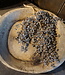 Rene Houtman Houten Chapati Schaal | H8 x B64 x D38 cm