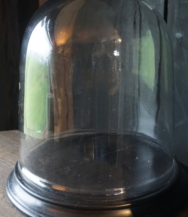 Rene Houtman Glazen Stolp | Incl. Tray | H40 x D30 cm