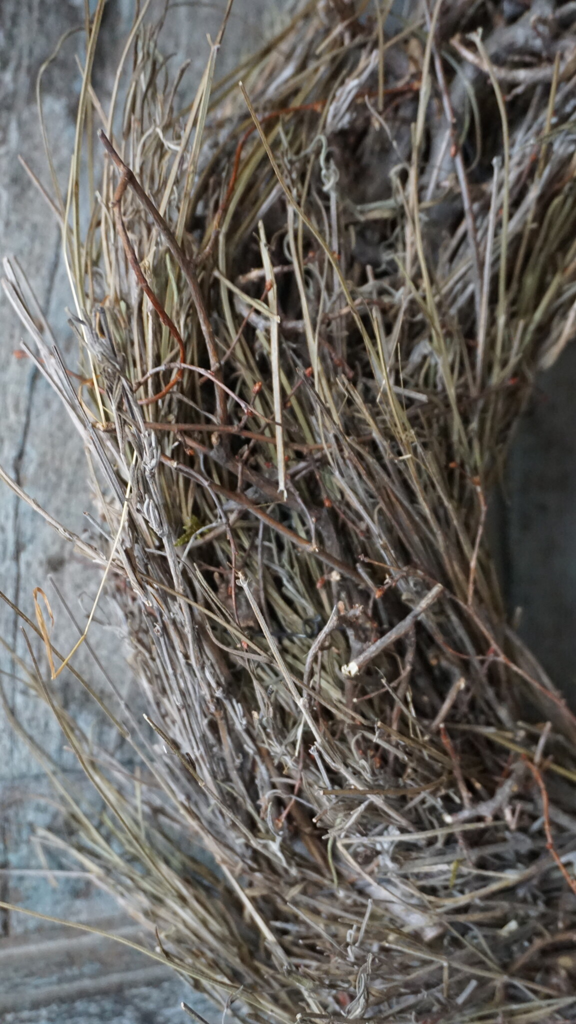 Rene Houtman Krans Bonsai Blato | Naturel | D30 cm