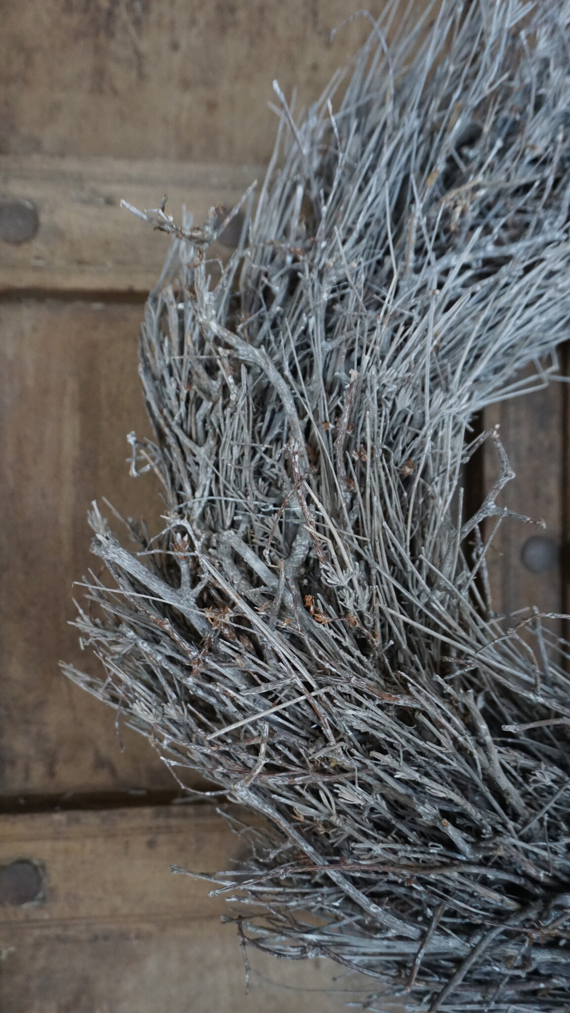Rene Houtman Krans Bonsai Blato | Frosted | D40 cm