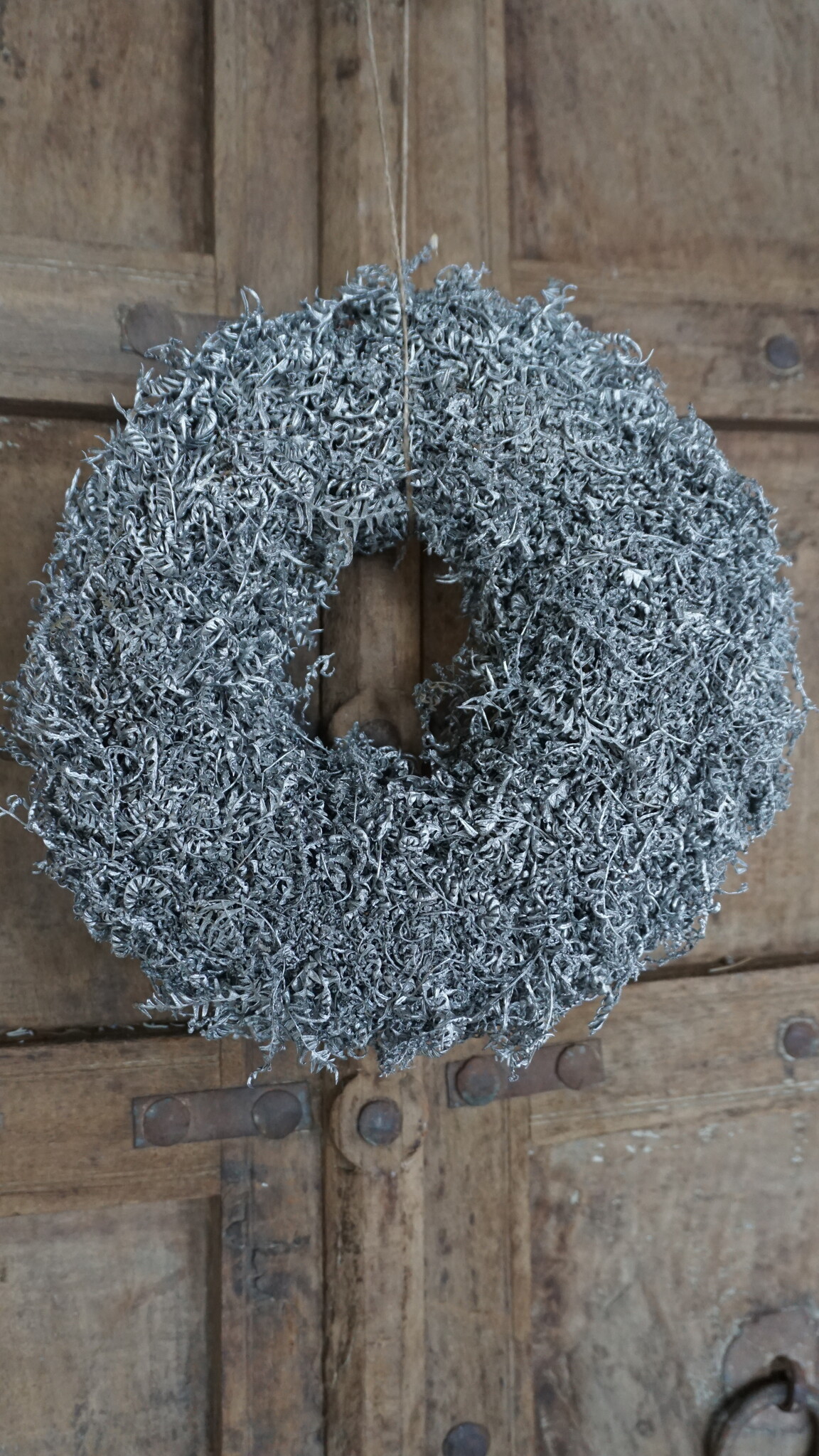 Rene Houtman Sierkrans Mamaku | Zilver | Diameter 30 cm