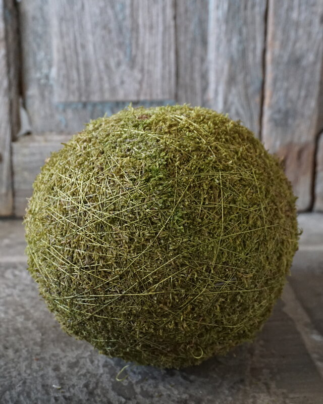 Rene Houtman Decoratiebol Mos | Diameter 20 cm