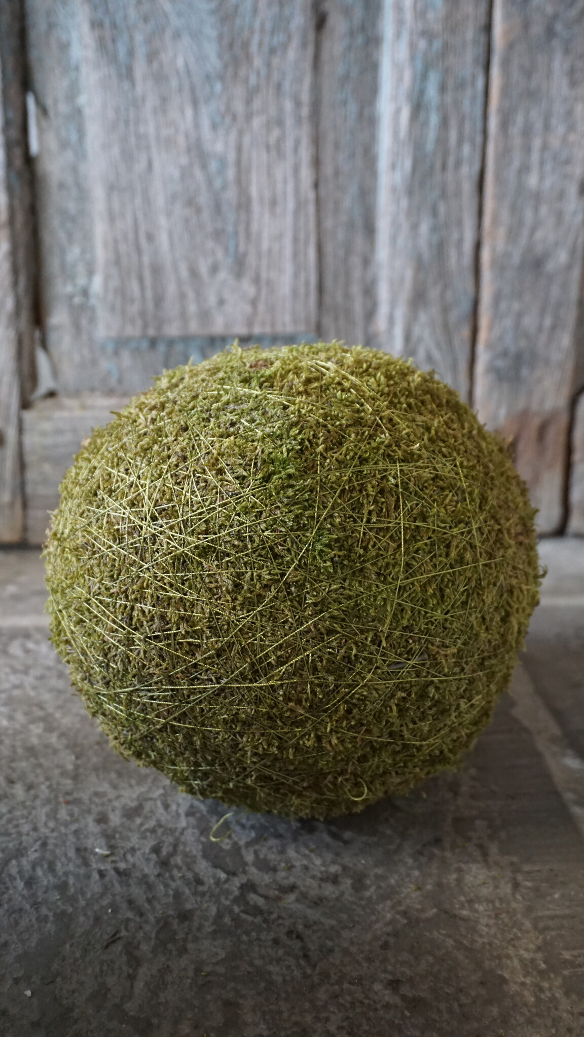 Rene Houtman Decoratiebol Mos | Diameter 20 cm