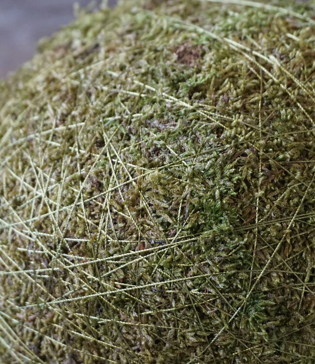 Rene Houtman Decoratiebol Mos | Diameter 20 cm