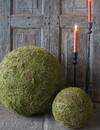 Rene Houtman Decoratiebol Mos | Diameter 20 cm