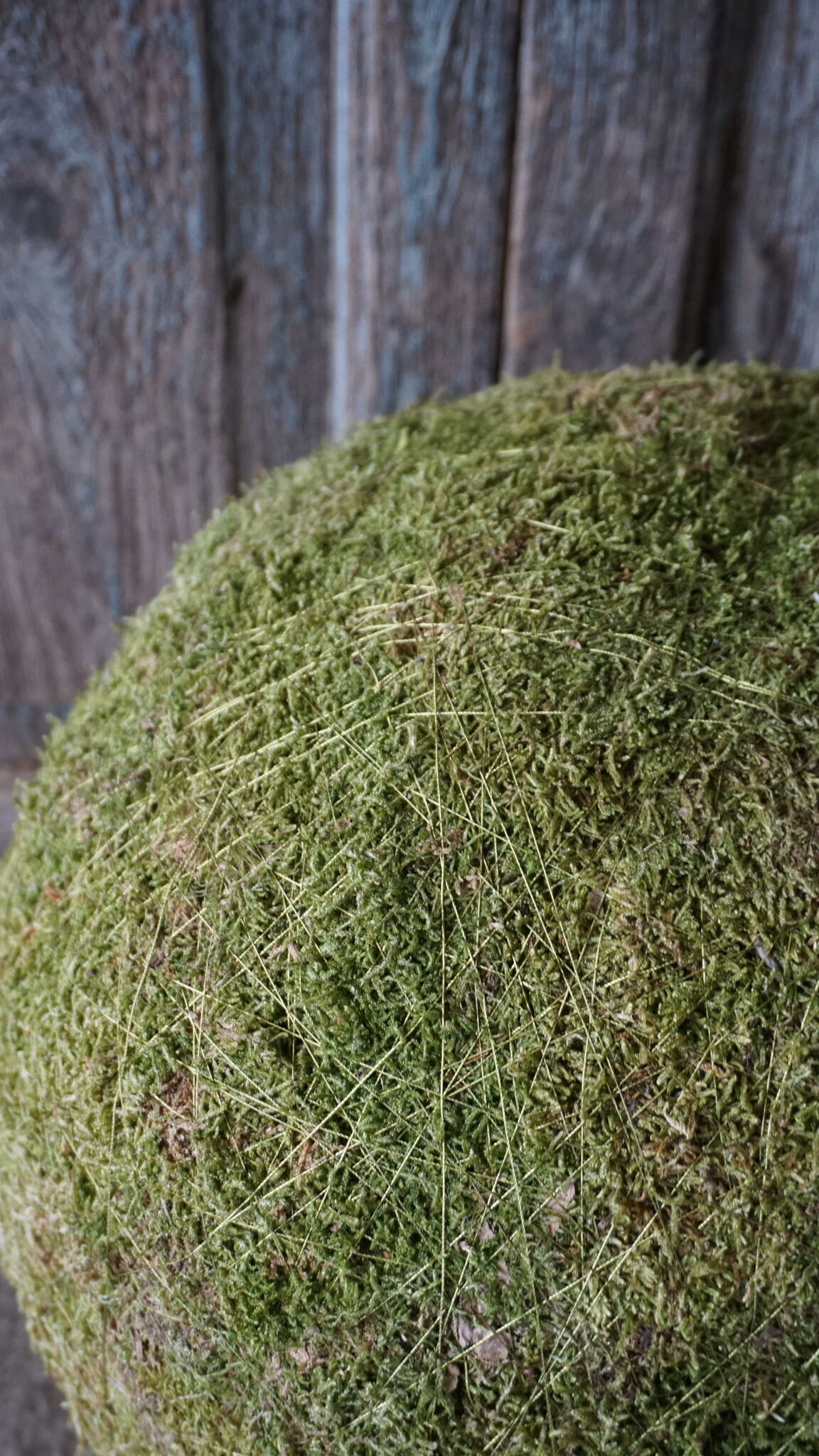 Rene Houtman Decoratiebol Mos | Diameter 40 cm