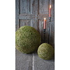 Decoratiebol Mos | Diameter 40 cm
