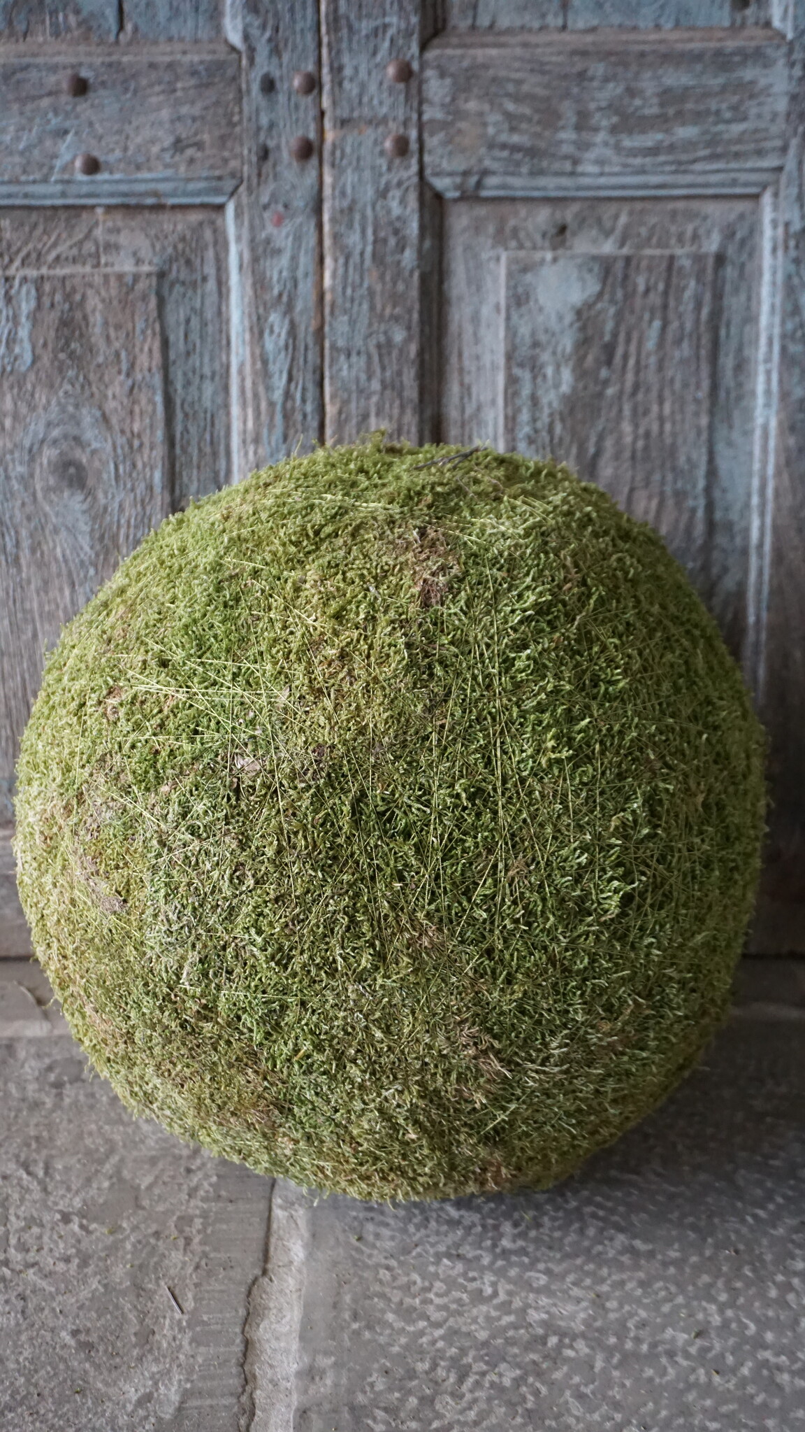 Rene Houtman Decoratiebol Mos | Diameter 40 cm