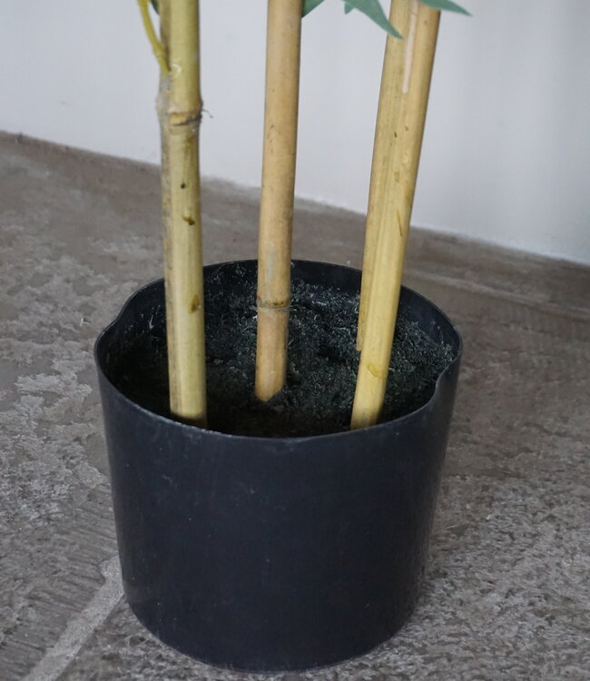 Rene Houtman Kunstboom Kamerplant Bamboe | H150 cm