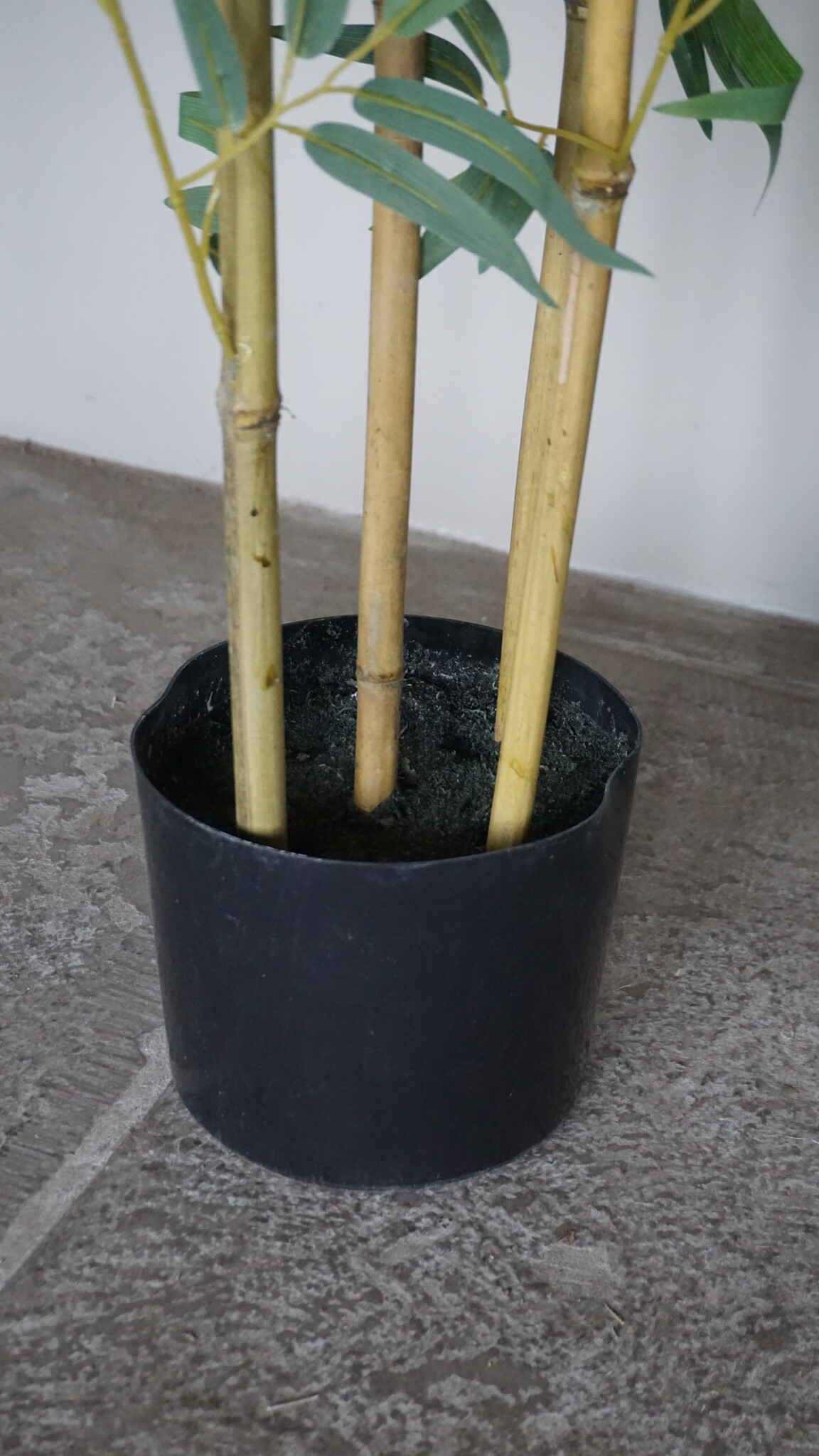 Rene Houtman Kunstboom Kamerplant Bamboe | H150 cm