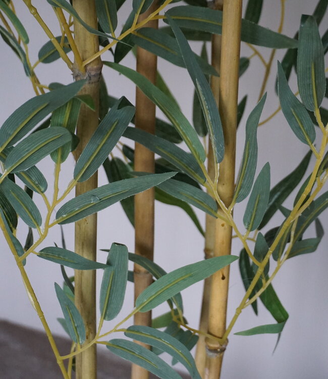 Rene Houtman Kunstboom Kamerplant Bamboe | H150 cm