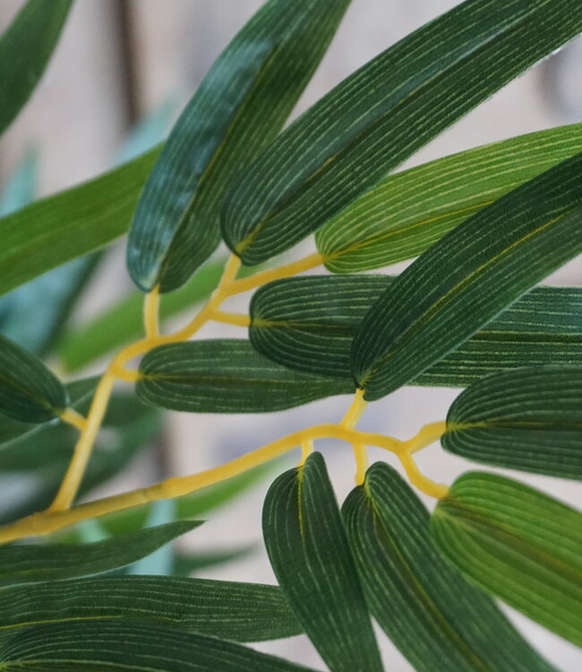 Rene Houtman Kunstboom Kamerplant Bamboe | H150 cm