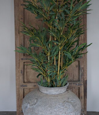 Rene Houtman Kunstboom Kamerplant Bamboe | H150 cm