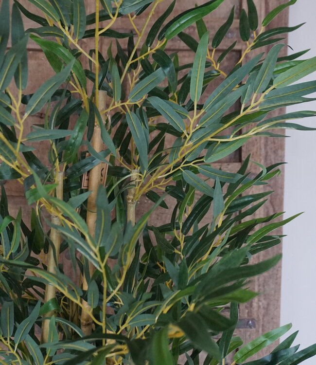 Rene Houtman Kunstboom Kamerplant Bamboe | H150 cm