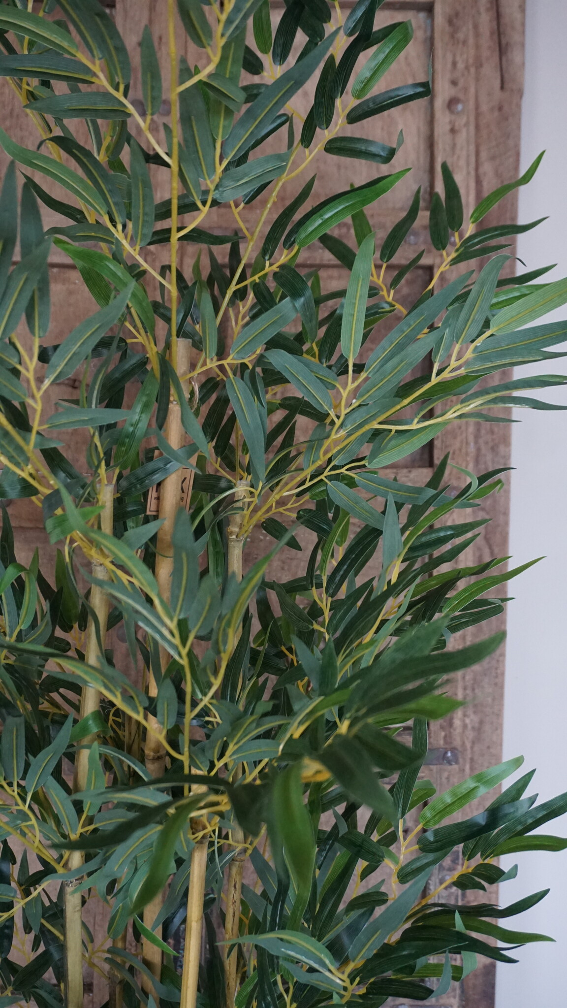 Rene Houtman Kunstboom Kamerplant Bamboe | H150 cm