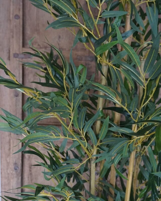 Rene Houtman Kunstboom Kamerplant Bamboe | H150 cm