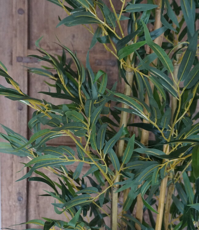 Rene Houtman Kunstboom Kamerplant Bamboe | H150 cm
