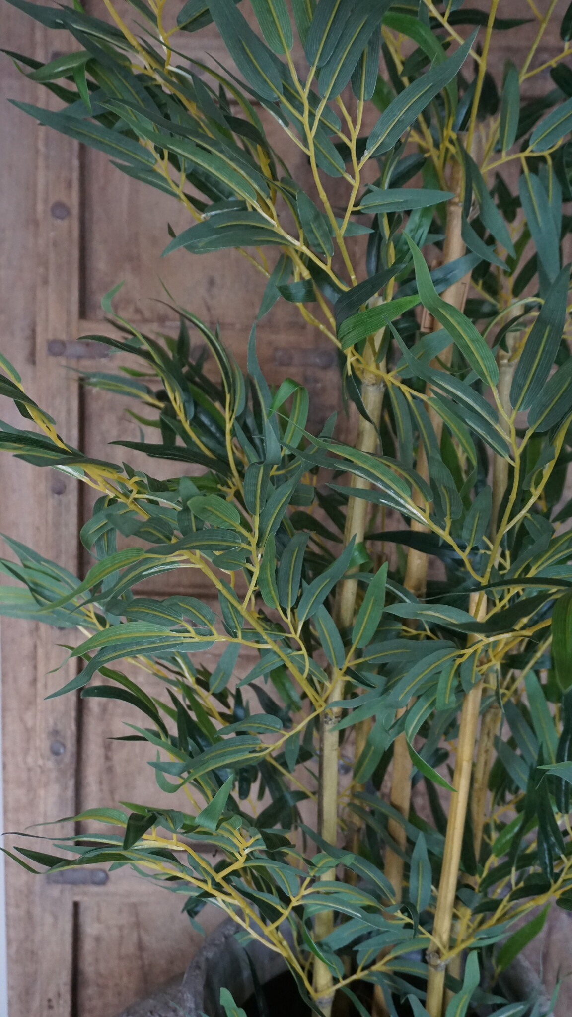 Rene Houtman Kunstboom Kamerplant Bamboe | H150 cm