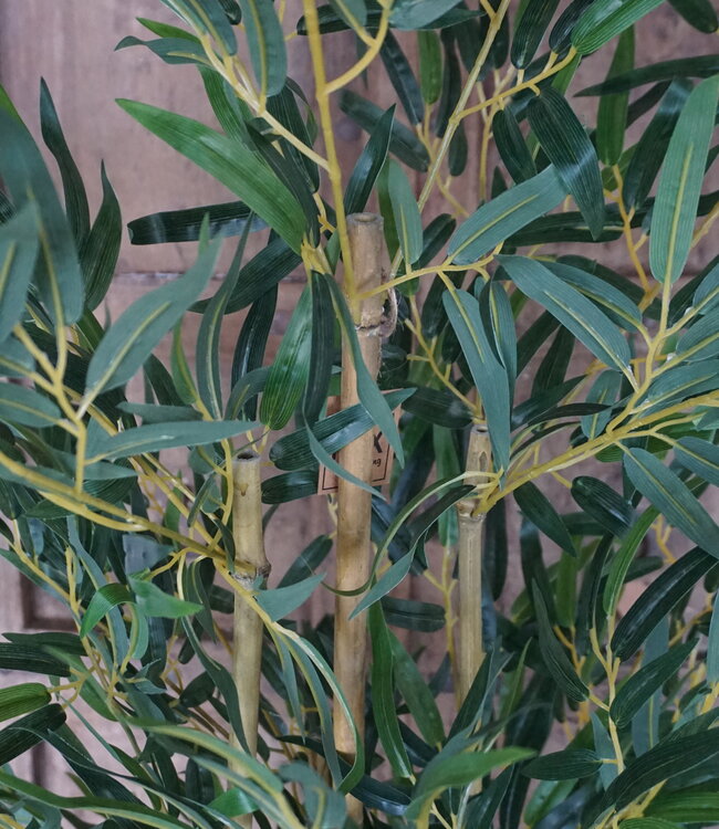 Rene Houtman Kunstboom Kamerplant Bamboe | H150 cm